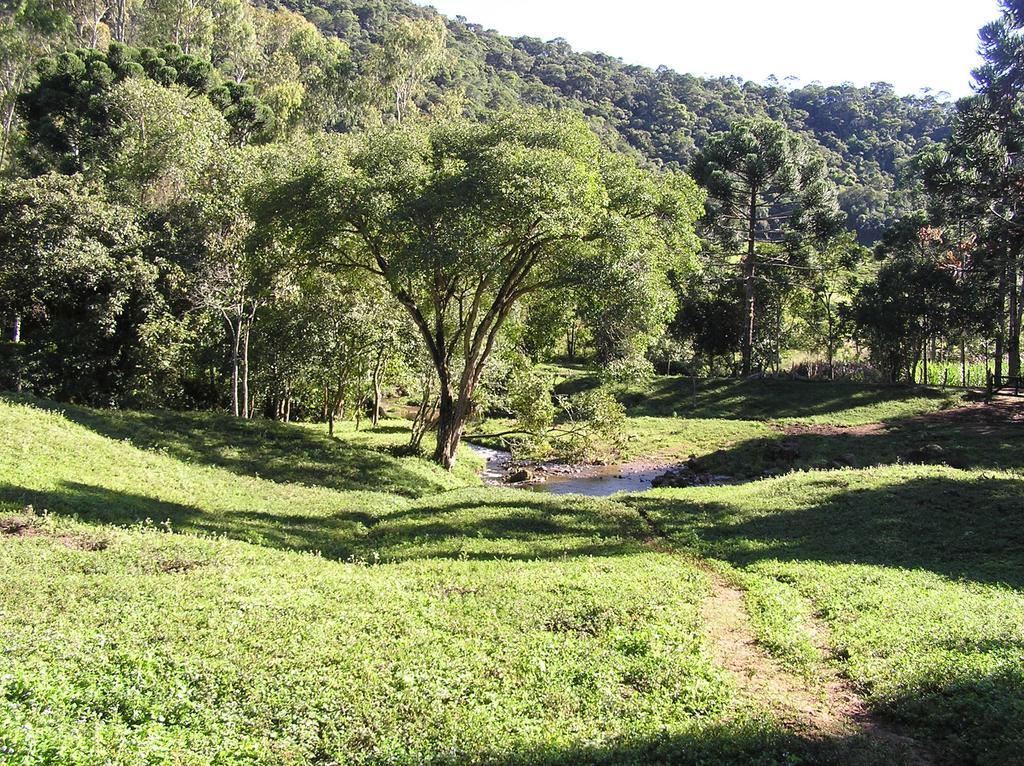 Apartamento Ferias Fazenda Usina 2 博凯纳-迪米纳斯 外观 照片
