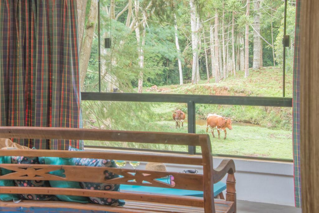 Apartamento Ferias Fazenda Usina 2 博凯纳-迪米纳斯 外观 照片
