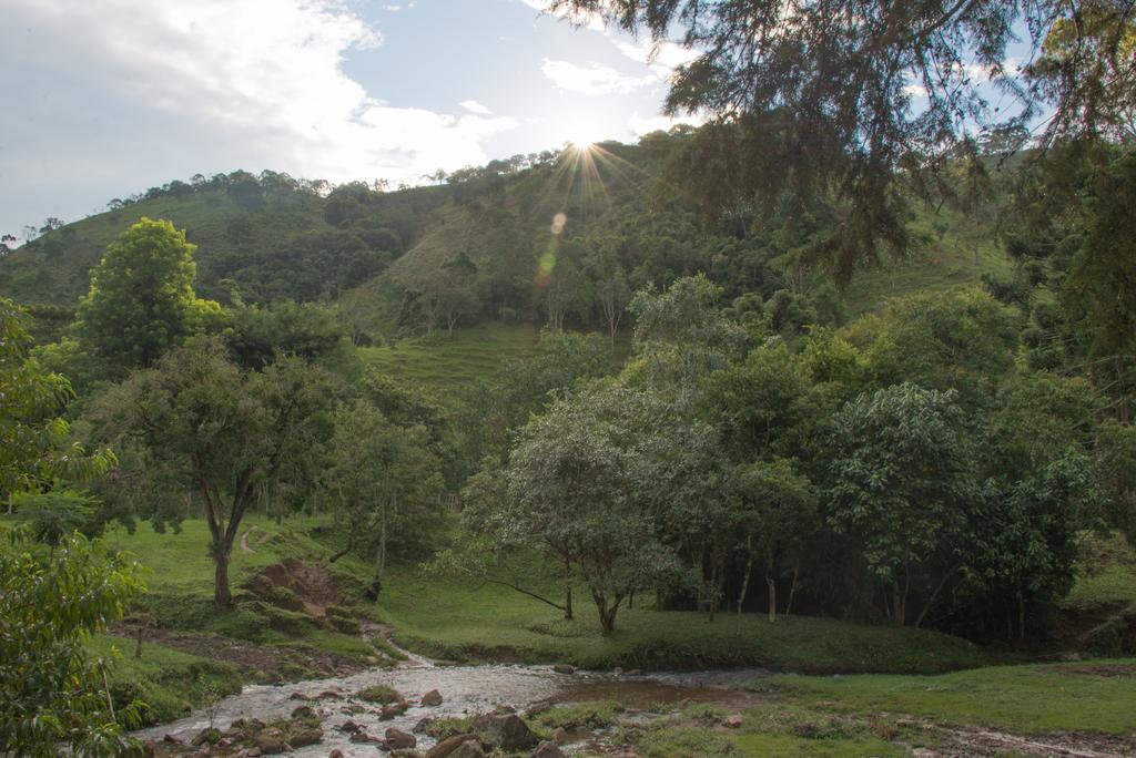 Apartamento Ferias Fazenda Usina 2 博凯纳-迪米纳斯 外观 照片